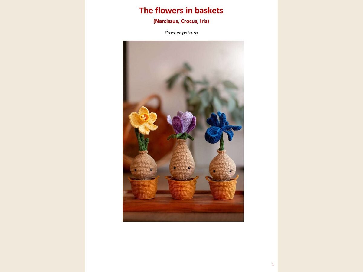 Flowers baskets