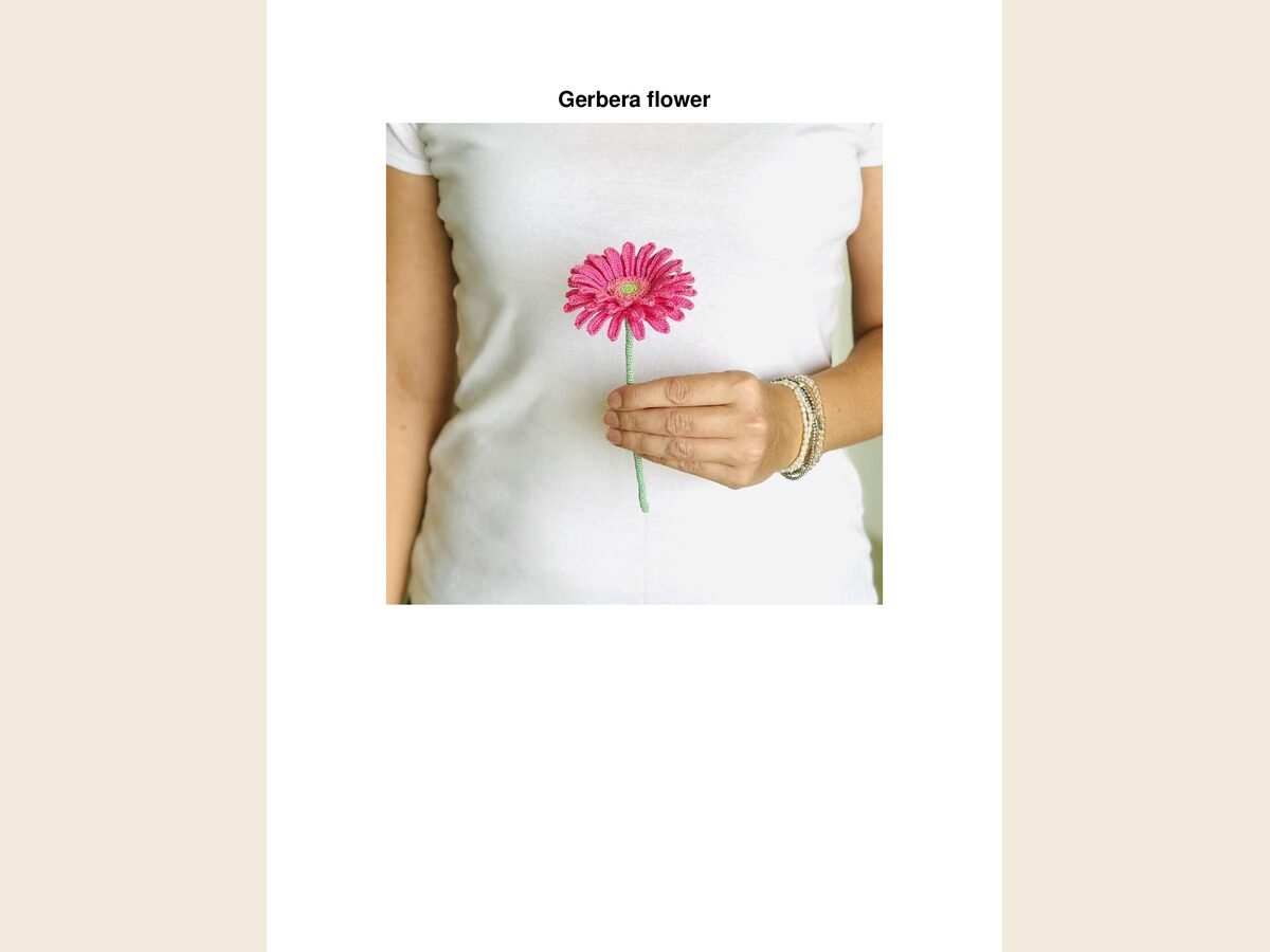 Gerbera Flower