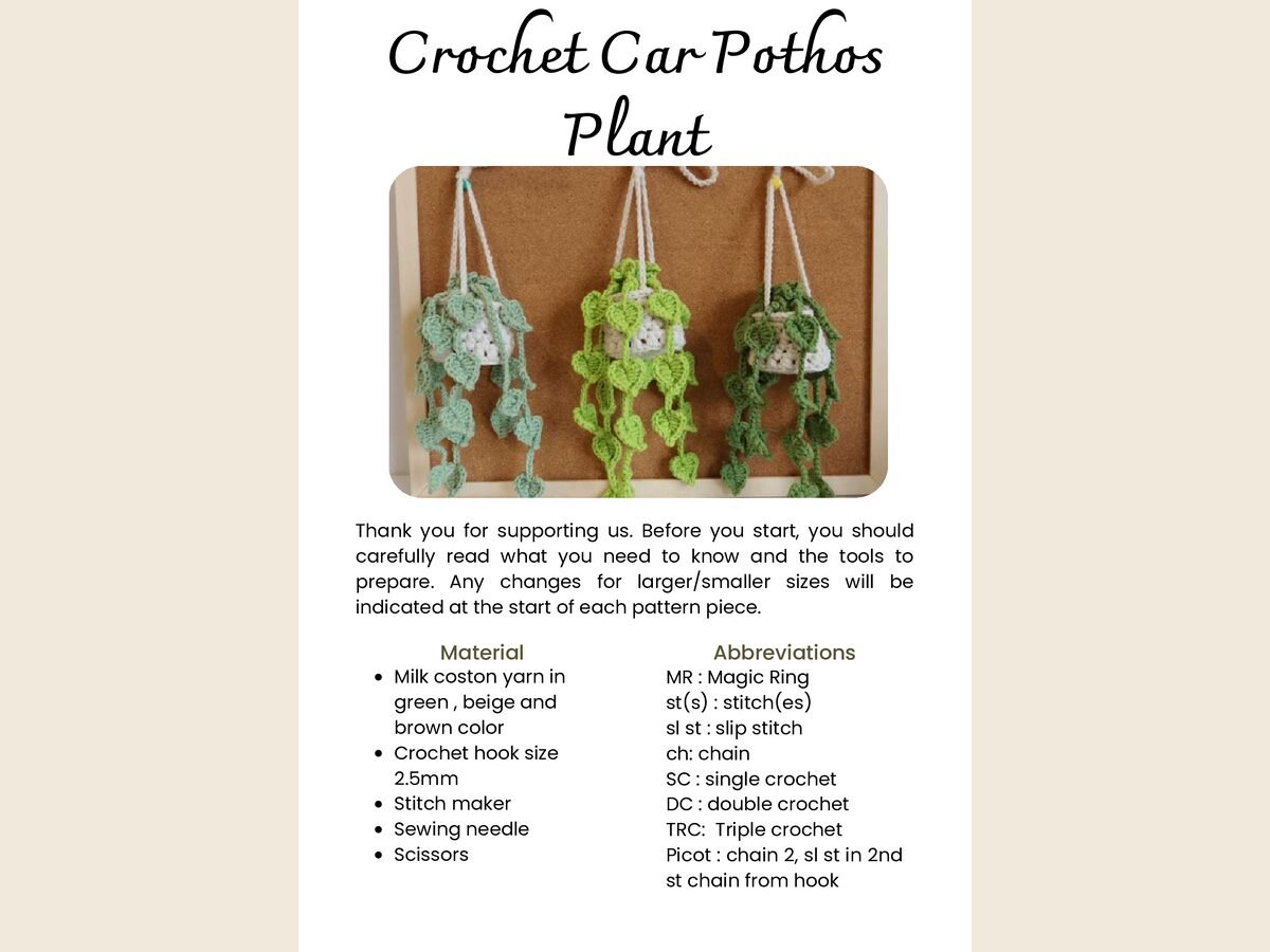 Hanging Plant 2