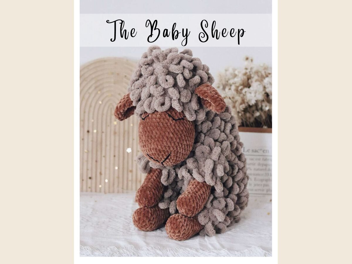 Sheep Sleeping