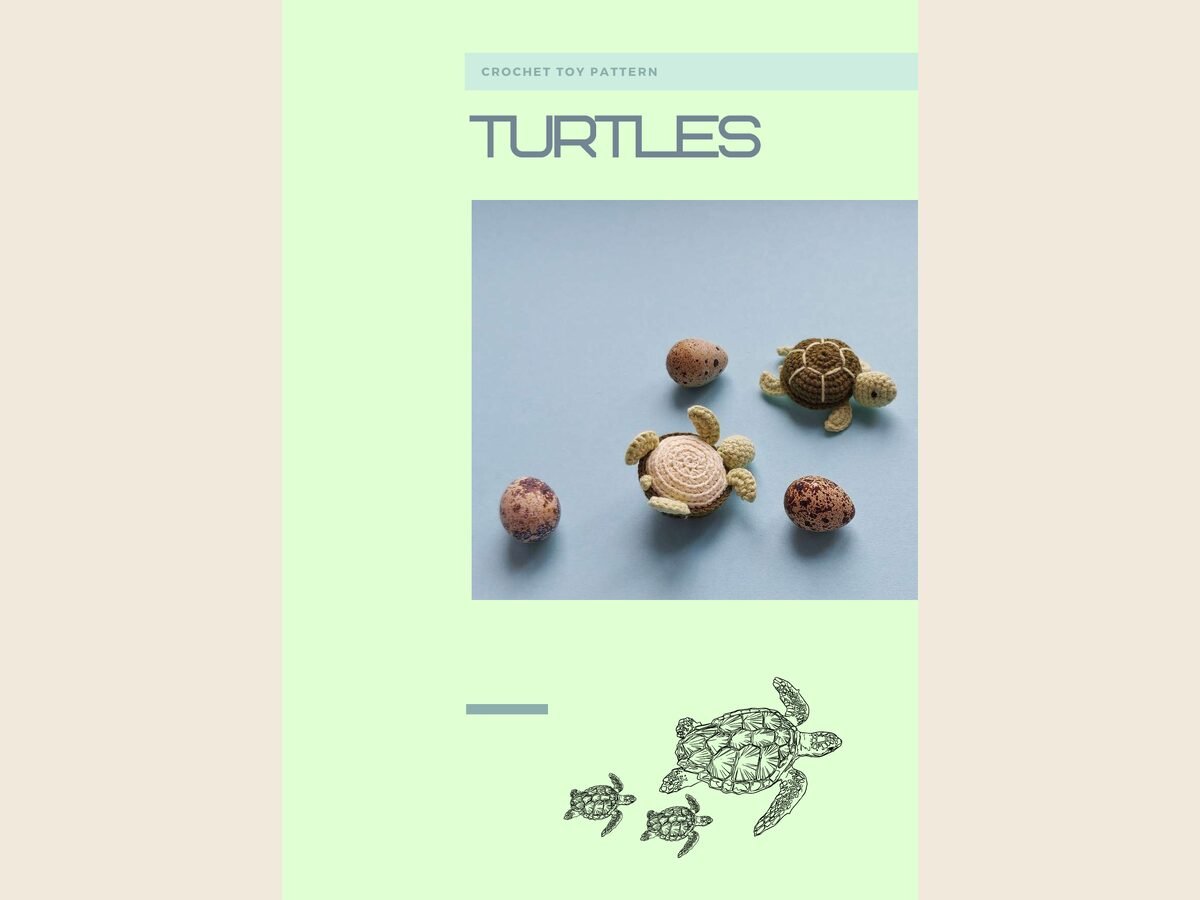 Turtle Small 2
